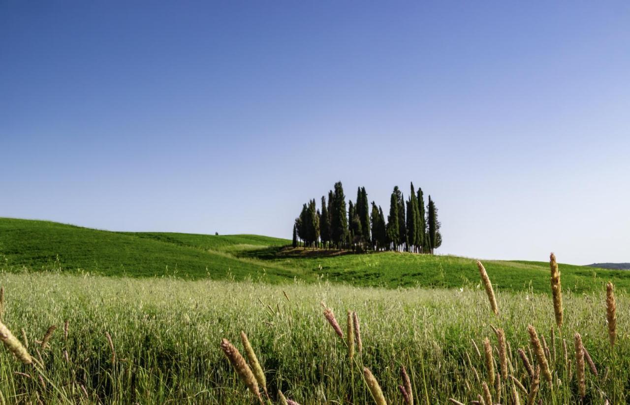 Hotel Corsignano Pienza Exterior foto